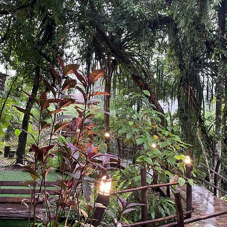 Khaosok Farmstay Khao Sok National Park Buitenkant foto
