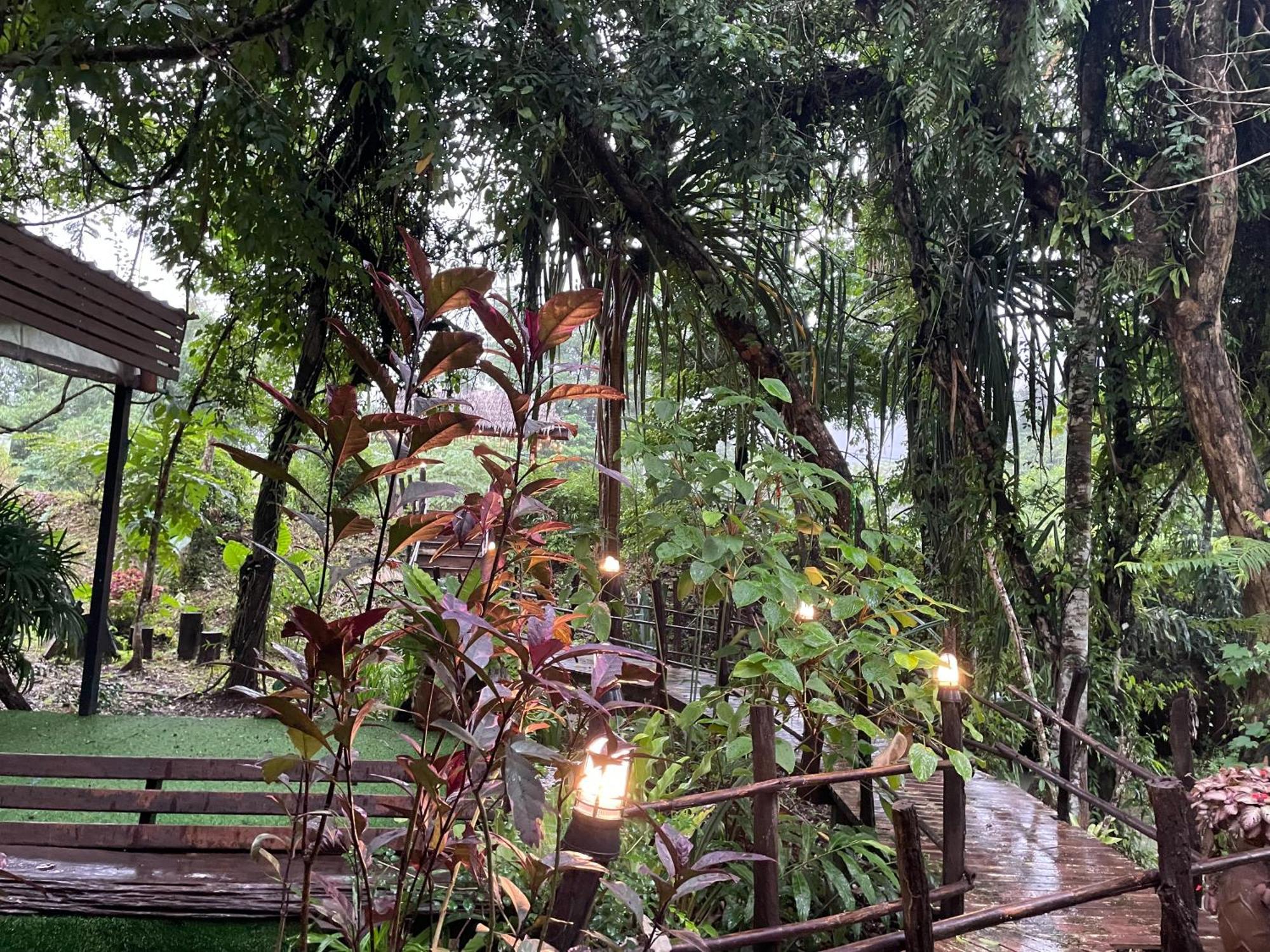 Khaosok Farmstay Khao Sok National Park Buitenkant foto
