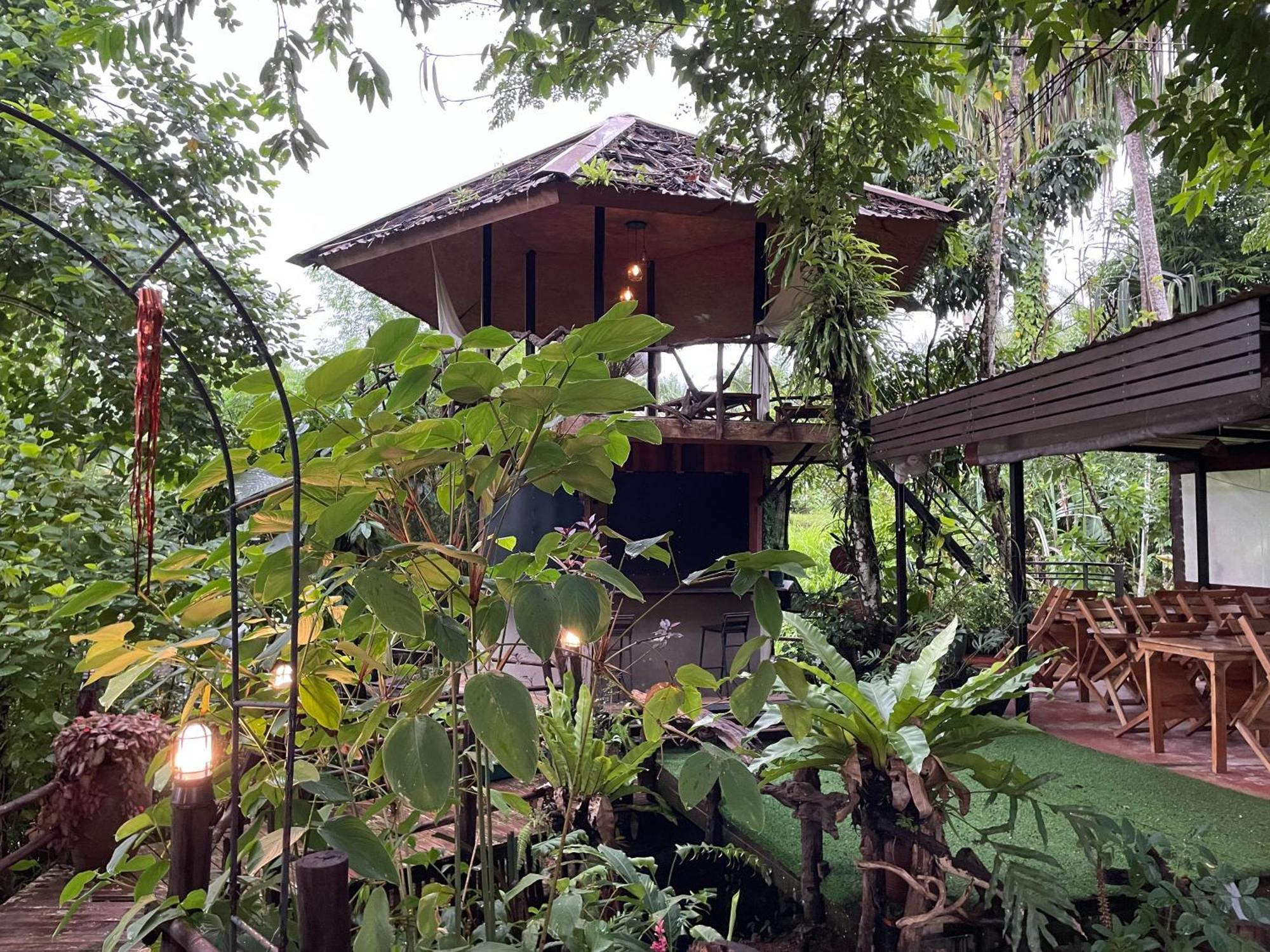 Khaosok Farmstay Khao Sok National Park Buitenkant foto